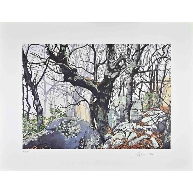 Rolandi (Maurizio Coccia), Magic Forest, Screen Print, 1970s For Sale - Image 3 of 3
