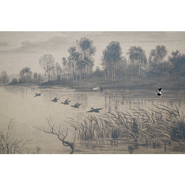 Antique c.a. Walker Evening Duck Hunt in the Canoe Panoramic Etching 33" For Sale - Image 11 of 11