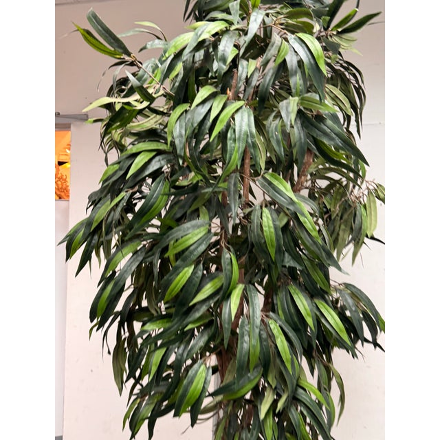 Faux Mango Tree + Tapered Black Planter For Sale - Image 11 of 12