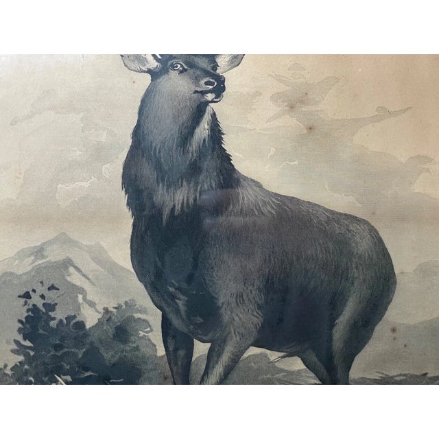 Sculpture Materials Rare Antique 1894 Wand and Noble Pride of the Glen Moose Elk Engraving Print Art For Sale - Image 7 of 14
