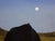 Early 21st Century Fields at Twilight by Emma Kalff | Oil on canvas Cows grazing in a twilight landscape with hills. For Sale - Image 5 of 5