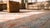Stunning Peach Background With Palmette and Stiff Vinery Pattern Pattern Antique Indian Agra Rug For Sale - Image 9 of 10