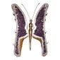 Shop Gallery Girasole