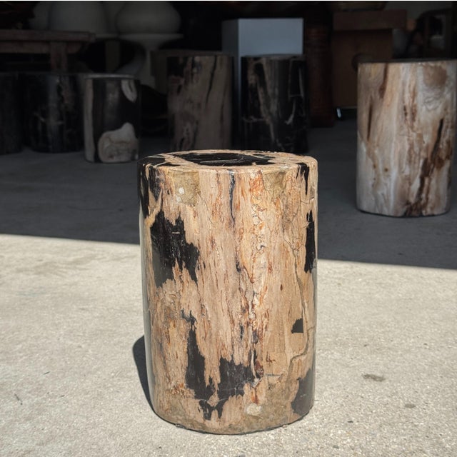 Small side table made of petrified wood with a black heartwood and black and beige striped bark. Petrified wood is a...