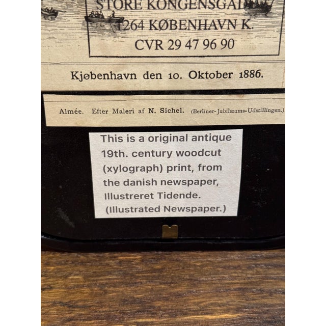 Antique 1886 Xylograph Print From Danish Newspaper For Sale In Pittsburgh - Image 6 of 14