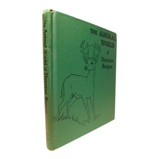 1960s Illustrated Children's Book, the Animal World of Thornton Burgess For Sale