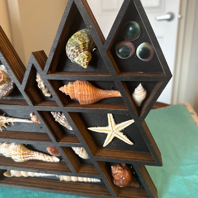 Mid-Century Modern Geometric Mountain Wooden Curio Shelf With Natural Seashell Collection For Sale - Image 4 of 11