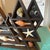 Mid-Century Modern Geometric Mountain Wooden Curio Shelf With Natural Seashell Collection For Sale - Image 4 of 11