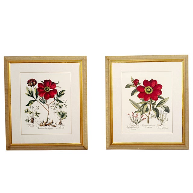 Large Botanical Original Lithographs Vibrant Color in Gold Gilt Frames Set of 2 Red Floral For Sale