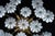 Metal Murano White Flower Ceiling Lamps, Italy, 1980s, Set of 2 For Sale - Image 7 of 18
