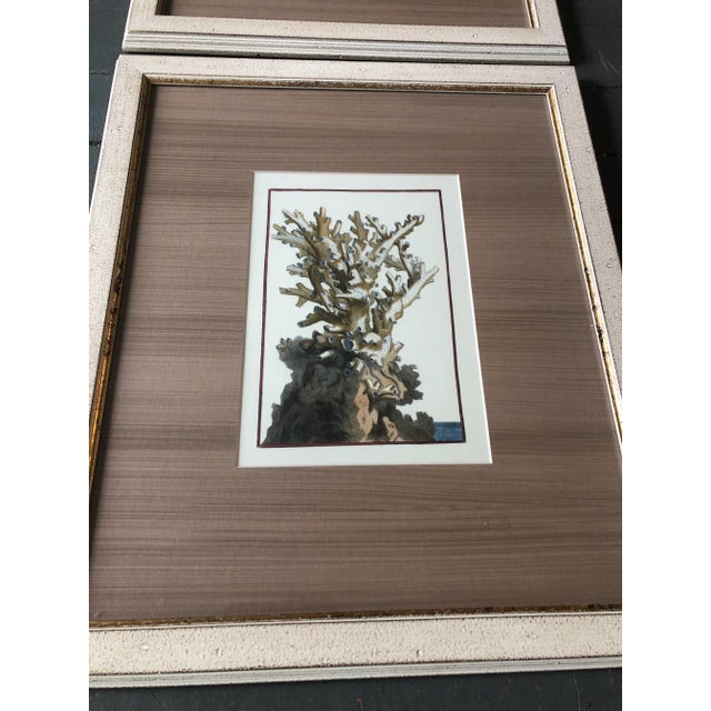 Hand colored prints on paper unsigned 7 x 10 with original custom frame & mat are 17.5 x 20.5 gallery label on reverse