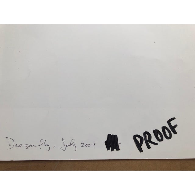 American Peter C. Jones 1, Dragonfly, Large Format Photo 24X20 Color Photograph Beach House, 2004 For Sale - Image 3 of 5