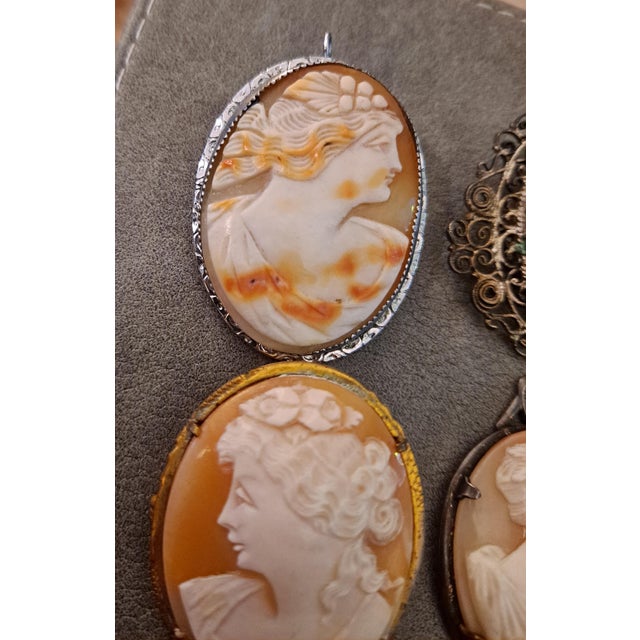Group of 4 High Relief Cameo Pins/Pendents Carved From Bull Mouth Shell For Sale - Image 4 of 6