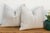 Sold as a matching pair, these handcrafted Moroccan cactus silk pillows feature a stylized four-legged figure motif at...