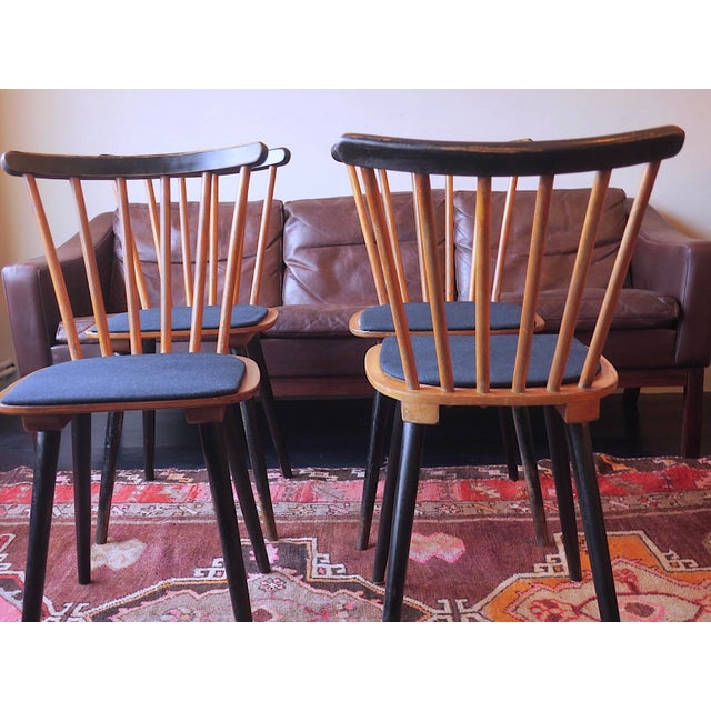 Mid-Century Dining Chairs with Splayed Legs and Navy Blue Seats, Set of 4 For Sale - Image 5 of 12