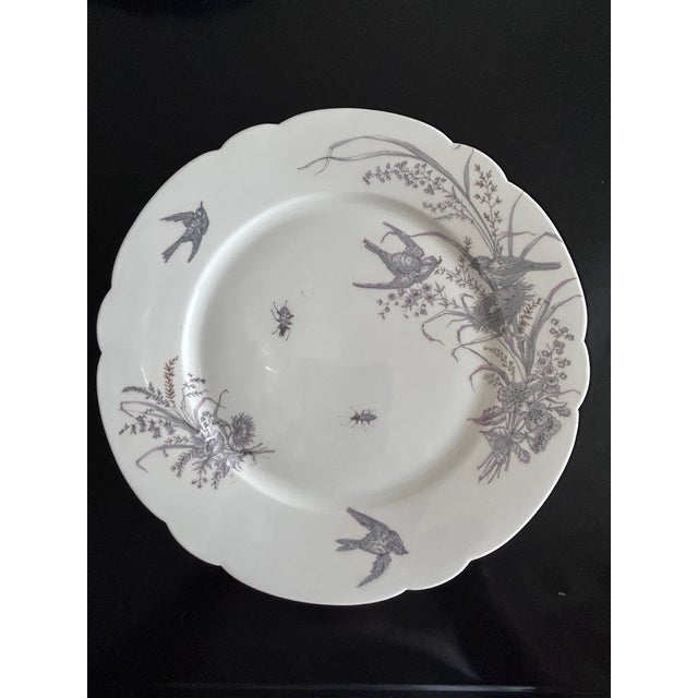 White Porcelain Plates and Platter by Ch Pillivuyt & Cie, 1890s, Set of 8 For Sale - Image 8 of 17