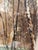 The Old Mill, 1920s, Watercolor, Set of 2 For Sale - Image 13 of 18