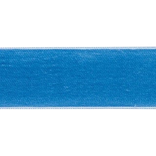 Sample - Schumacher Velvet Tape Wide in Cadet For Sale