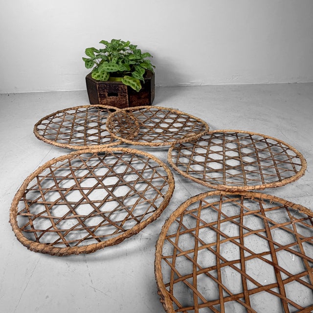 Wood Japanese Bamboo Zaru Drying Trays, 1930, Set of 5 For Sale - Image 7 of 13