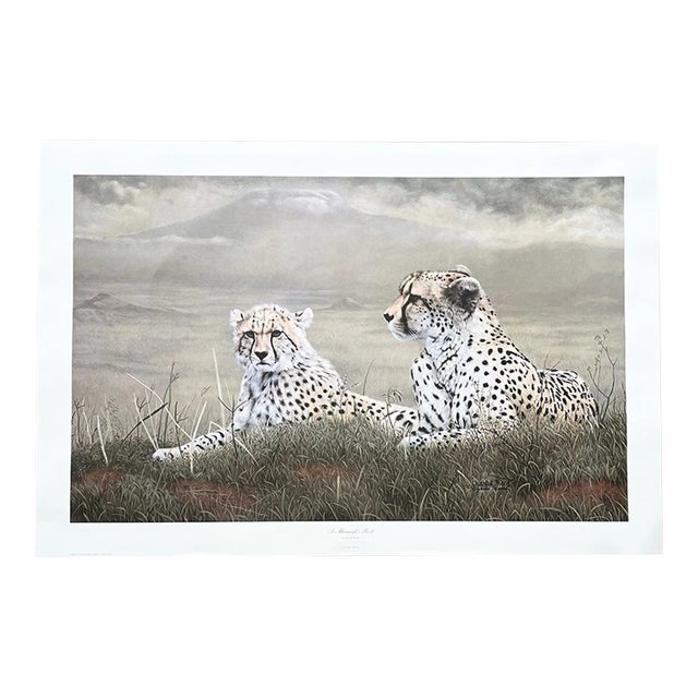 1983 Charles Fracé “A Moment’s Rest, Cheetah” Print For Sale
