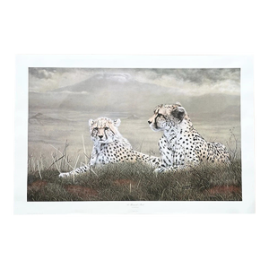 1983 Charles Fracé “A Moment’s Rest, Cheetah” Print