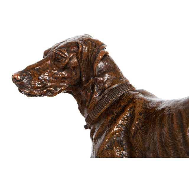 Brown French Bronze Sculpture "Chien Braque" by Pierre-Jules Mene For Sale - Image 8 of 18