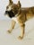 Traditional Antique German Goebel Porcelain Dog Sculpture For Sale - Image 3 of 4