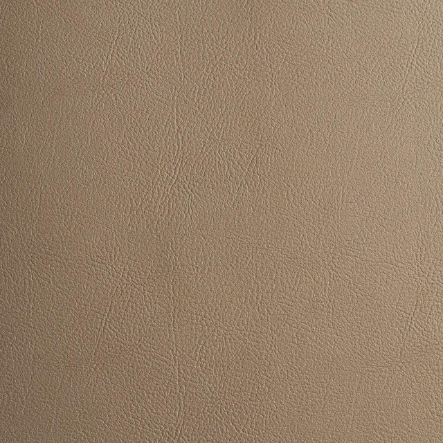Schumacher Vegan Leather Indoor/Outdoor Fabric In Warm Metallic For Sale