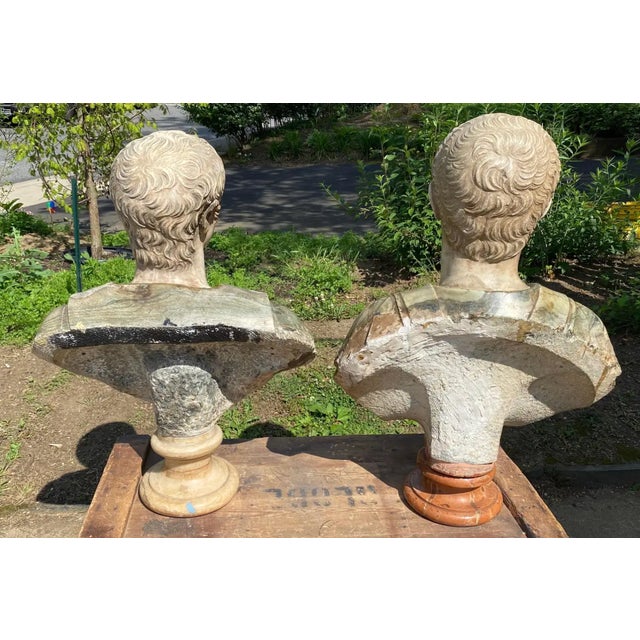Sienna 19th Century Italian Neoclassical Style Specimen Marble Busts of Caesars - Set of 2 For Sale - Image 8 of 10