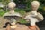 Sienna 19th Century Italian Neoclassical Style Specimen Marble Busts of Caesars - Set of 2 For Sale - Image 8 of 10