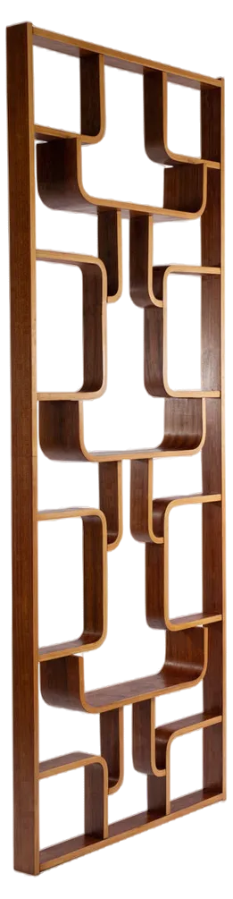 Room Divider by Ludvik Volak fpr Drevopodnik Holesov, 1960s