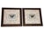 Brown Pair of John Richard Collection Butterfly Music Sheet Framed Art For Sale - Image 8 of 12