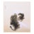 "Cat", Heisei Era Japanese Silk Painting For Sale