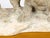 Continental Midcentury Terracotta Sculpture Depicting Two Bears on a Base For Sale In Atlanta - Image 6 of 10