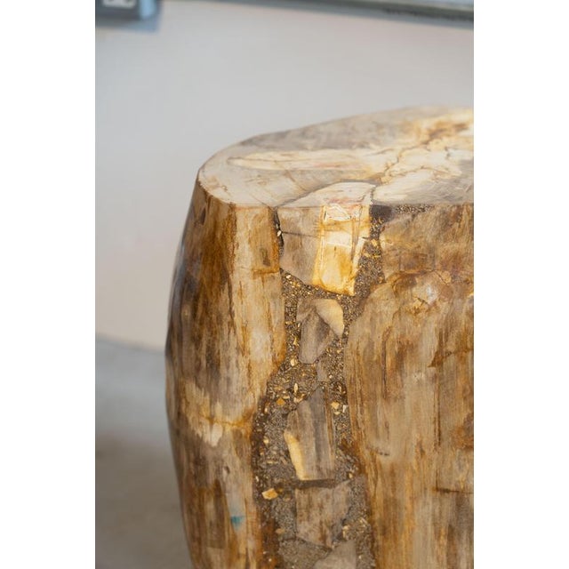 Tan Petrified Wood Side Table, 1970s For Sale - Image 8 of 9