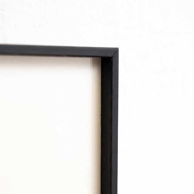 Karl Blossfeldt, Natural Grace, 1942, Photogravure, Framed For Sale - Image 4 of 12