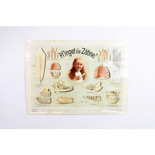 Pfleget die Zähne Vintage Print For Sale - Image 13 of 13