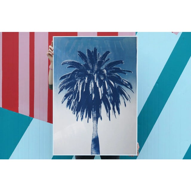 2020s "Marrakesh Majorelle Palm", Cyanotype on Watercolor Paper, 100x70cm, Tropical Art 2020, Limited Edition For Sale - Image 5 of 9