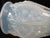 Glass Sabino Paris Manta Raie Ray Sculpted Flower Blue Opalescent Glass Vase For Sale - Image 7 of 14