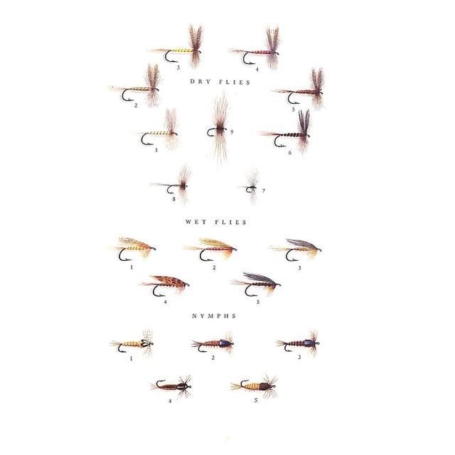 "The Fly and the Fish" 1951 Atherton, John For Sale - Image 4 of 11