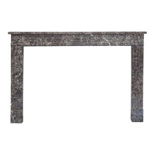18th Century Louis XVI Fireplace Mantel in St Anne's Marble For Sale