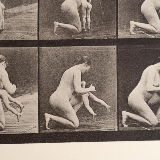 1980s Eadweard Muybridge, Black and White Women in Motion Study, 1982, Photograph, Framed For Sale - Image 5 of 10