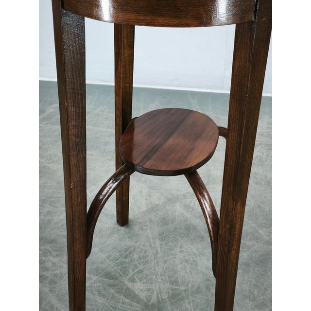 Wood No. 207 Bentwood Oval Table by Mazowia for Thonet, Poland, 1910s For Sale - Image 7 of 14