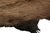 Rug & Kilim’s American Bison Hide Fur Rug in Chocolate Brown Tones For Sale In New York - Image 6 of 7