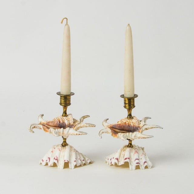 Coastal Vintage Natural Seashell and Brass Candlestick Holder Pair For Sale - Image 3 of 13