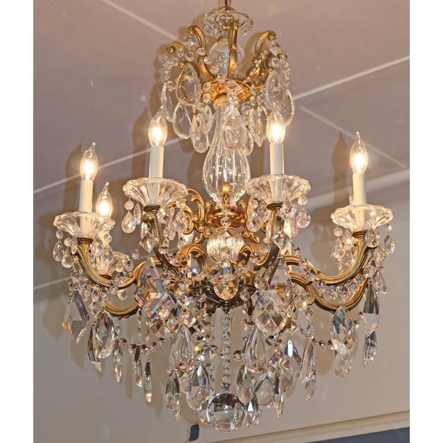 Gold Schonbek La Scala 5007 8 Light Gold Color Crystal Chandelier For Sale - Image 8 of 18