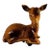 Vintage Ceramarte Deer Figurine, Made in Brazil For Sale