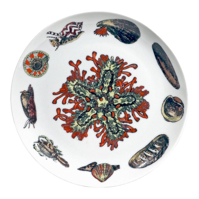 Piero Fornasetti Conchiglie Seashell Porcelain Plate No. 2, Sea Star and Coral Milan, Circa 1960–1970 For Sale