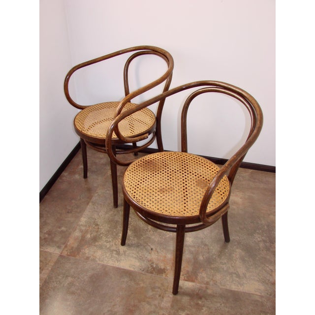 Brown B9/209 Armchairs No. 209 by Radomsko for Thonet, 1960s, Set of 2 For Sale - Image 8 of 10