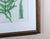Henry Bradbury Nature-Printed Fern Botanical Prints, Set of Four, Framed For Sale - Image 11 of 18